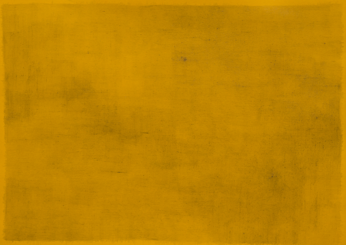 Grafito sobre papel.