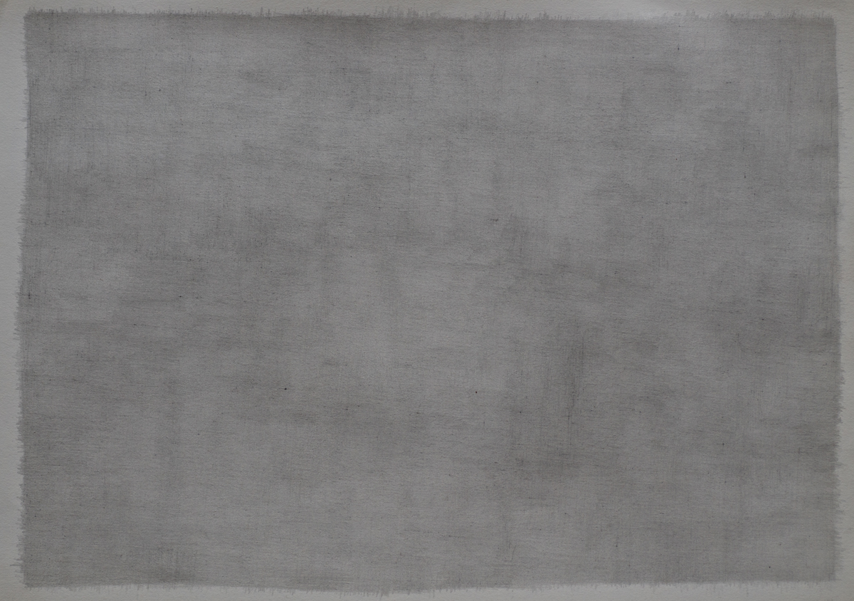 Grafito sobre papel.