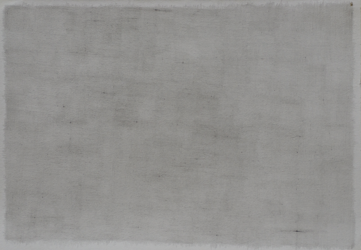 Grafito sobre papel.